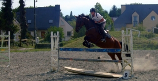 Horse riding lessons 